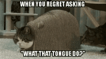 Sex Jokes Tongue GIF - Sex Jokes Tongue GIFs