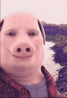 GIF