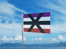 a flag with a purple white and black cross on it