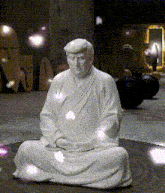 Buddha Donald Trump GIF - Buddha Donald Trump GIFs