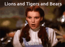 Lions Tigers GIF - Lions Tigers Bears GIFs