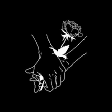 a couple of hands holding a rose in their hands on a black background .