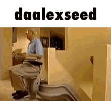 Daalexseed GIF