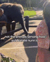 a woman is standing in front of an elephant with the caption " not the animals sensing how evil natalie nunn is "