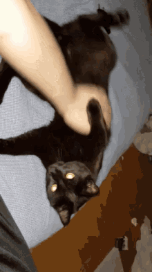 Cats Attack GIF - Cats Attack Black GIFs