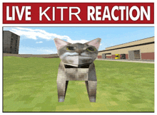 Kitr My Honest Reaction GIF - Kitr My Honest Reaction Live Reaction GIFs