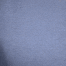 a woman is making a peace sign with her hands in front of a blue background .