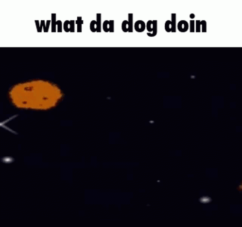 What The Dog Doin What Da Dog Doin GIF - What The Dog Doin What Da Dog