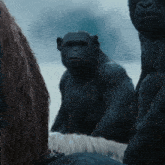 Planet Of The Apes Rocket GIF - Planet Of The Apes Rocket GIFs