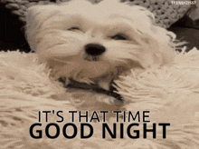 Good Night Its That Time GIF - Good Night Its That Time GIFs