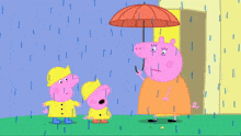 a peppa pig holding an umbrella stands in the rain
