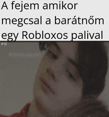 a pixelated image of a person with the words a fejem amikor megcsal a baratnom egy robloxos palival below it