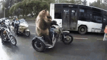 Funny Animals Grizzly Bear GIF - Funny Animals Grizzly Bear Bikers GIFs