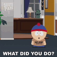 What Did You Do Stan Marsh GIF - What Did You Do Stan Marsh South Park GIFs