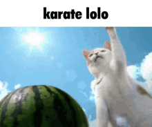 Hey Uriel Karate GIF - Hey Uriel Karate Lolo GIFs