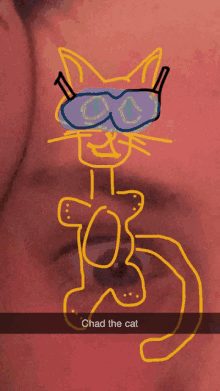 Chad The Cat GIF