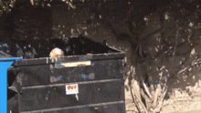 a person looking out of a dumpster that says full only