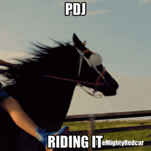 a person riding a horse with the words pdj riding it below it