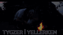 Tygzer Yellemek GIF - Tygzer Yellemek Yelle GIFs