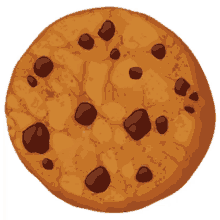 biscuit cookie chocolate chips snack food