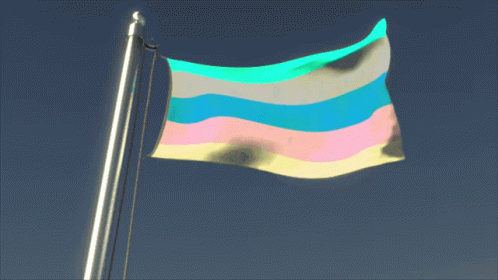 My randomness!!! ❤~ - Animesexual Pride Flag - Wattpad