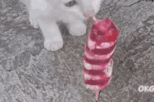 Saturnius Cat GIF - Saturnius Cat Cat Meme GIFs