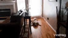 Dont Want To Get Up Lazy GIF - Dont Want To Get Up Lazy On Floor GIFs