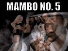 Mambo No5 Lou Bega GIF - Mambo No5 Lou Bega Mambo Number5 GIFs