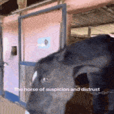 a horse in a stable with the words " the horse of suspicion and distrust "