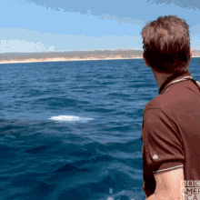 Unstables Whales Whales GIF