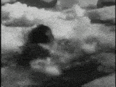 a black and white photo of a person swimming in a pool