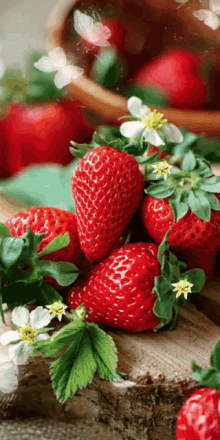 Berries Red GIF - Berries Red Yummy GIFs