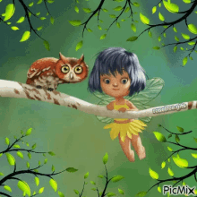 Fairy Owl GIF - Fairy Owl GIFs