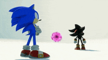 sonic the hedgehog standing next to shadow the hedgehog holding a pink flower