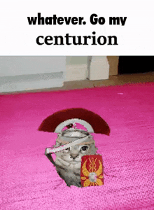 a cat wearing a roman helmet and shield is sitting on a pink blanket .