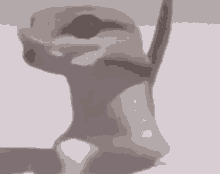 a frog is standing on its hind legs and looking at the camera .