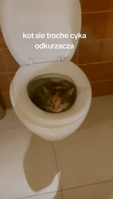 a cat is sitting in a toilet with a caption that says kot sie troche cyka odkurzacza