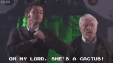 Doctor Who Shimmer GIF - Doctor Who Shimmer Cactus GIFs