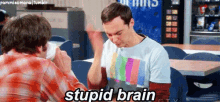 Stupid GIF - Big Bang Theory Sheldon Cooper Stupid GIFs