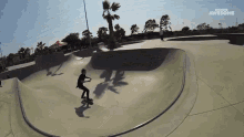 Skateboarding Flip GIF - Skateboarding Flip Somesault GIFs