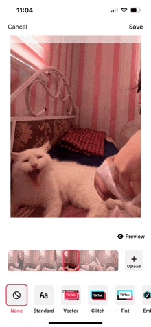 a white cat is laying on a bed in a room with pink stripes on the walls