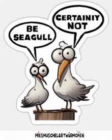 Seagulls Be Seagull GIF - Seagulls Be Seagull Crazy GIFs