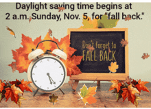 Fall Back Daylight Saving GIF - Fall Back Daylight Saving GIFs