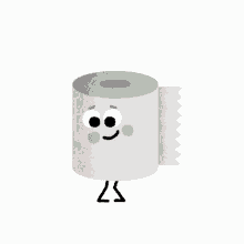 mr toilet paper roll