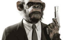 Grumpier Monkey GIF - Grumpier Monkey GIFs