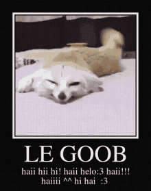 Le Goob Hi GIF - Le Goob Hi Hai GIFs