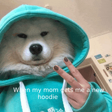 Hoodie GIF