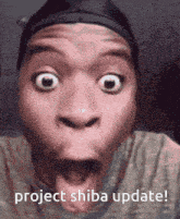 Project Shiba Pixelmon GIF - Project Shiba Pixelmon Update GIFs