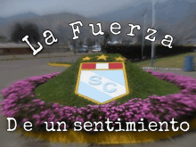 a sign that says la fuerza de un sentimiento is surrounded by pink flowers