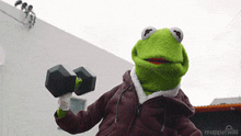 Kermit Weightlifting GIF - Kermit Weightlifting GIFs